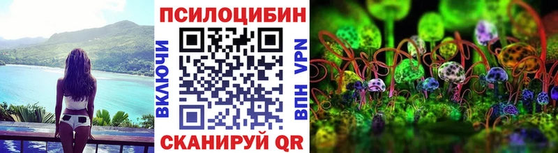 Галлюциногенные грибы Psilocybe  Купить где  Тюкалинск 
